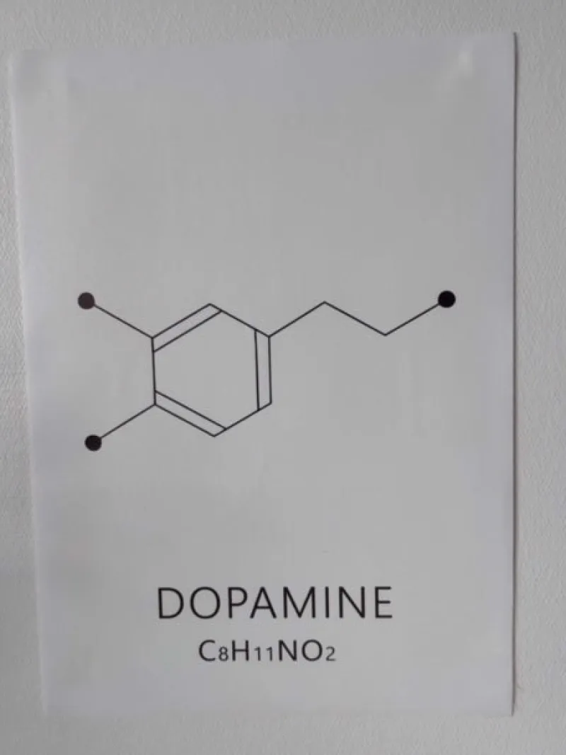 Sygeplejebutikken Gaver Til Sundhedspersonalet*Plakat Dopamine