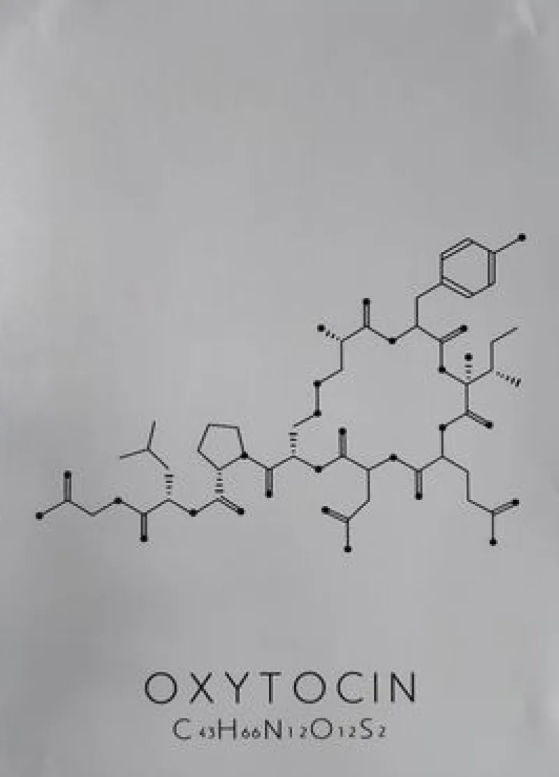Sygeplejebutikken Gaver Til Sundhedspersonalet*Plakat Oxytocin