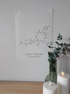 Sygeplejebutikken Gaver Til Sundhedspersonalet*Plakat Oxytocin