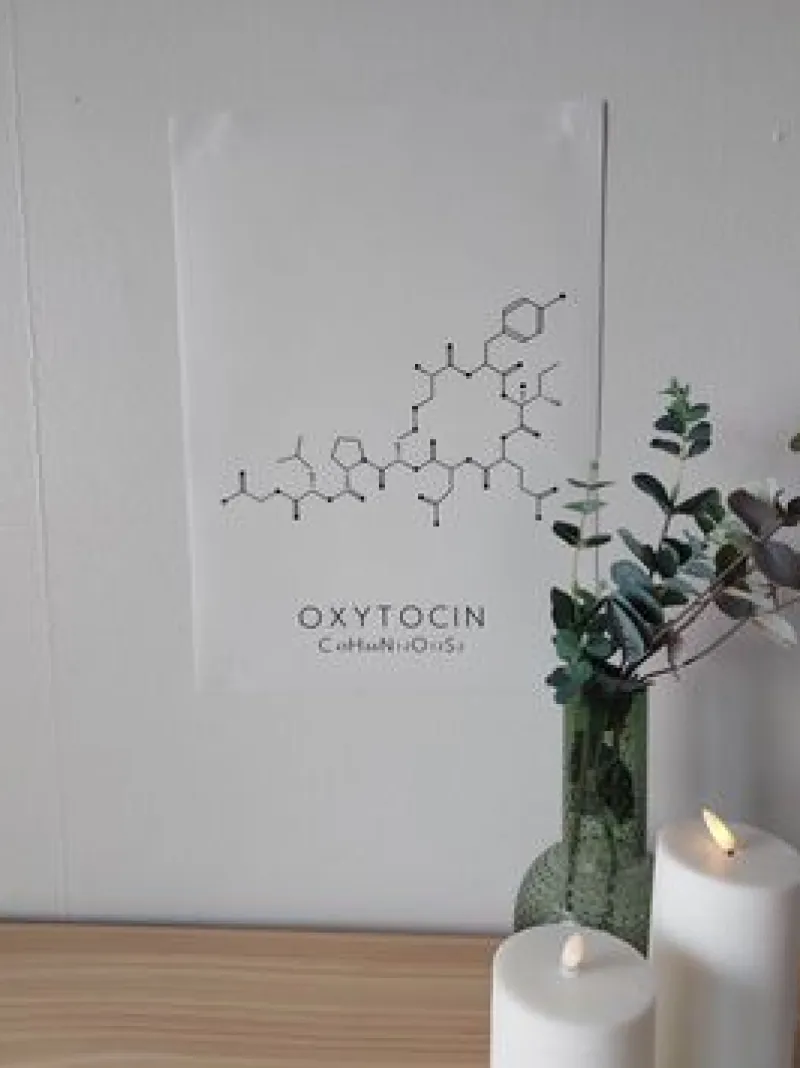 Sygeplejebutikken Gaver Til Sundhedspersonalet*Plakat Oxytocin
