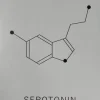Sygeplejebutikken Gaver Til Sundhedspersonalet*Plakat Serotonin