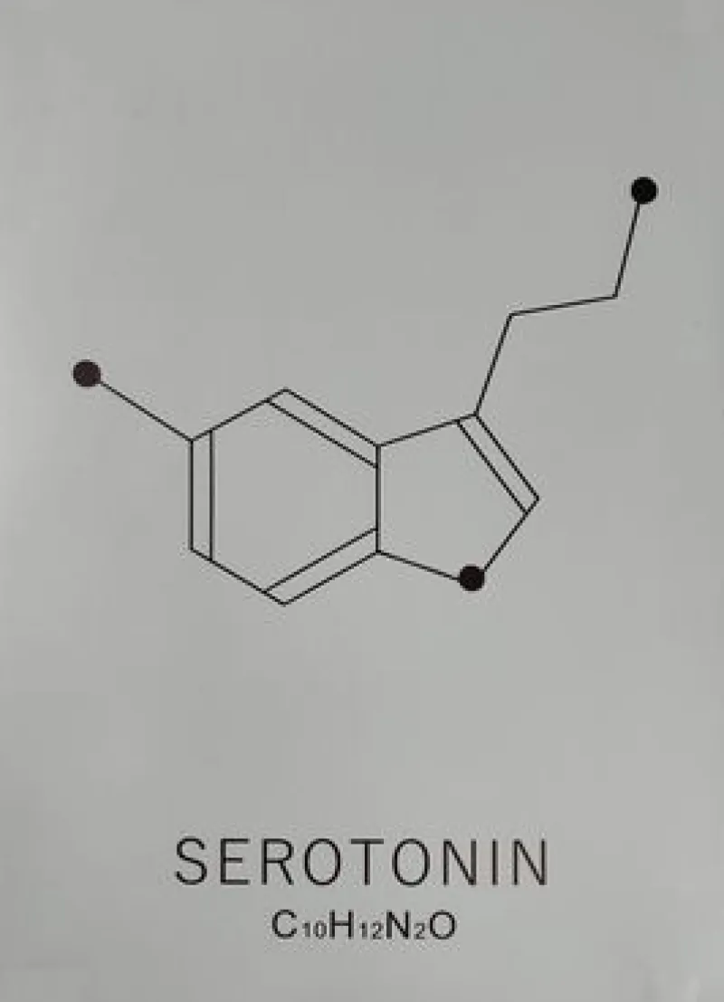 Sygeplejebutikken Gaver Til Sundhedspersonalet*Plakat Serotonin