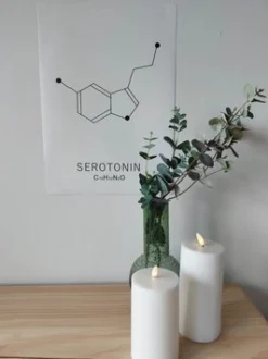 Sygeplejebutikken Gaver Til Sundhedspersonalet*Plakat Serotonin
