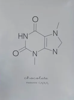Sygeplejebutikken Gaver Til Sundhedspersonalet*Sjov chokolade molekyle plakat