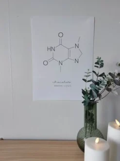 Sygeplejebutikken Gaver Til Sundhedspersonalet*Sjov chokolade molekyle plakat